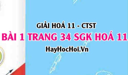 Giải bài 1 trang 34 Hoá 11 SGK Chân trời sáng tạo